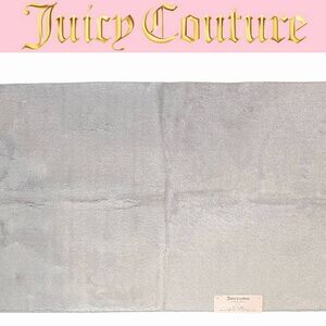 Juicy Couture Home Kendra Shag Glitter Accent Rug- Silver Grey